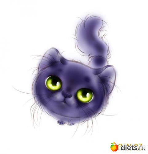 51 ����: ���������