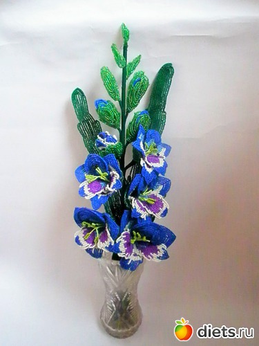 гладиолус, альбом: МОИ РУКОДЕЛОЧКИ