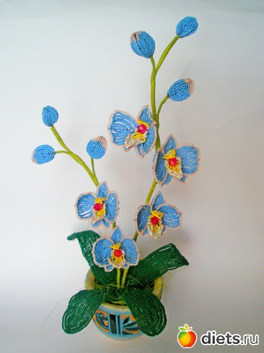 орхидея"КОКЕТКА", альбом: МОИ РУКОДЕЛОЧКИ