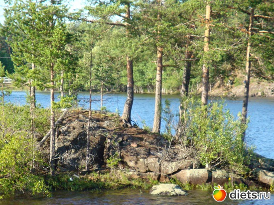 20 ����: ������ �����