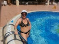 2013�. ��� 77��