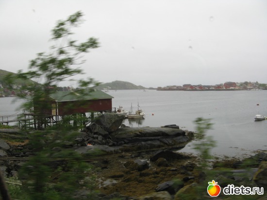 Из автобуса, альбом: Лофотены. Норвегия июнь 2014