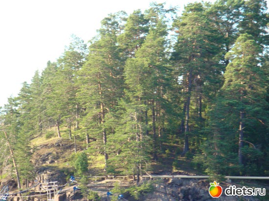 23 ����: ������ �����