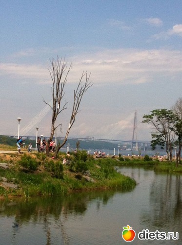 мост на о. Русский, альбом: владивосток