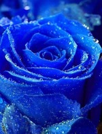 Доброе утро!)))