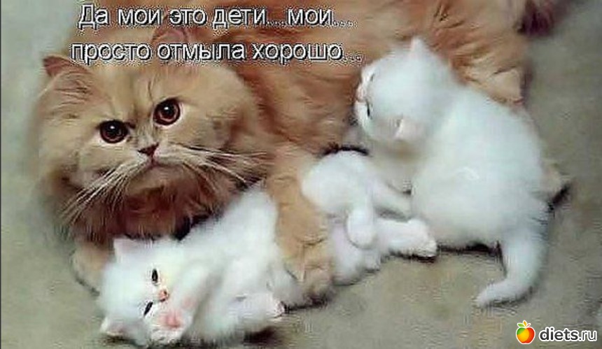 11 ����: �������