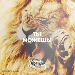 Дисциплина!