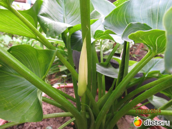 89 ����: �����-����-����� 2013 - 2015