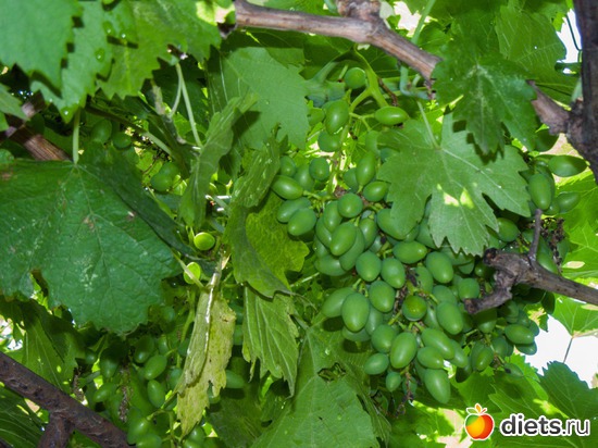 90 ����: �����-����-����� 2013 - 2015