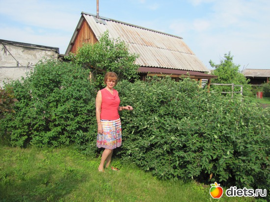 3 фото: Место, где я живу