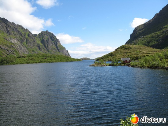 101 фото: Лофотены. Норвегия июнь 2014