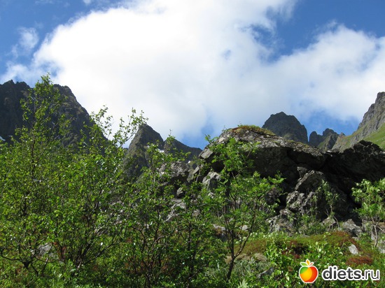 89 фото: Лофотены. Норвегия июнь 2014