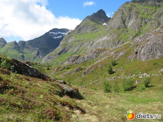 110 фото: Лофотены. Норвегия июнь 2014