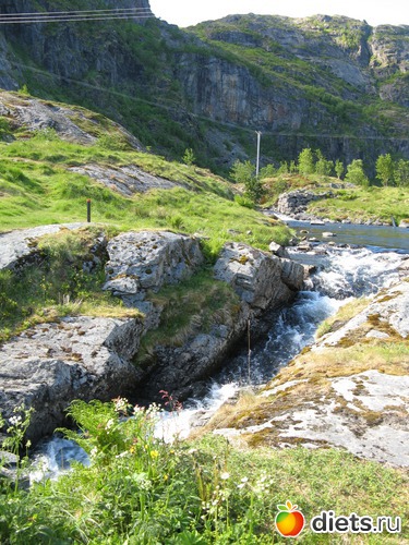 113 фото: Лофотены. Норвегия июнь 2014