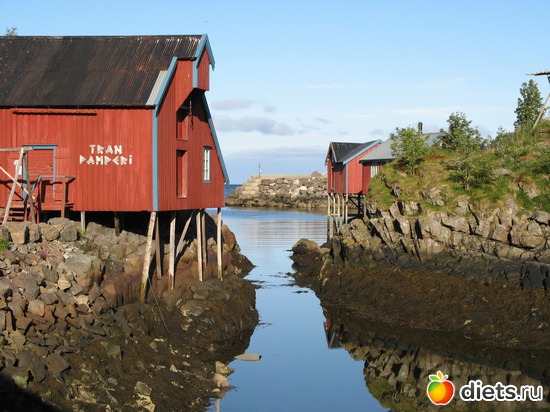 121 фото: Лофотены. Норвегия июнь 2014