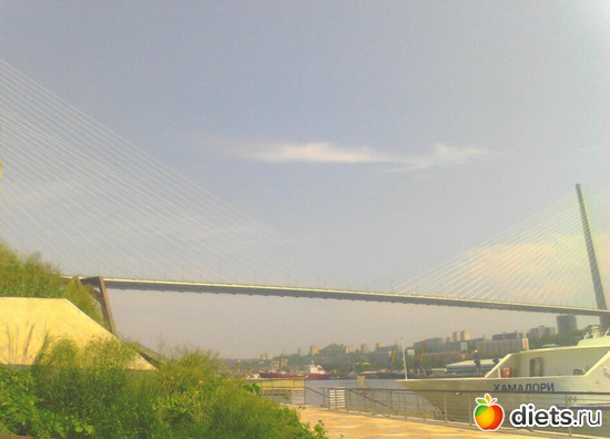 Мост через бухту Золотой рог. Владивосток, альбом: владивосток