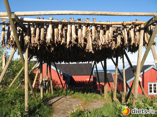 122 фото: Лофотены. Норвегия июнь 2014