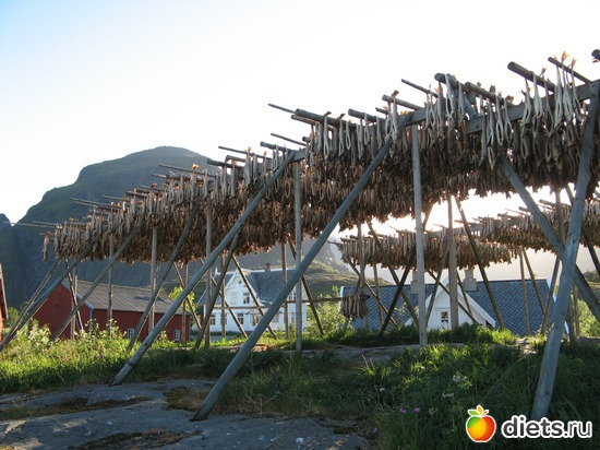 124 фото: Лофотены. Норвегия июнь 2014