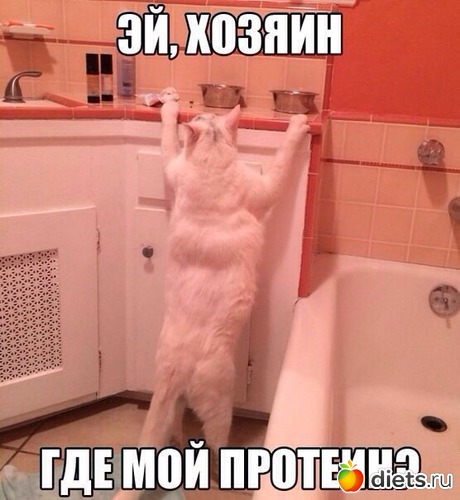 15 фото: Юмор2