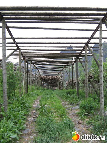 127 фото: Лофотены. Норвегия июнь 2014