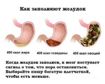 Тайны желудка)))