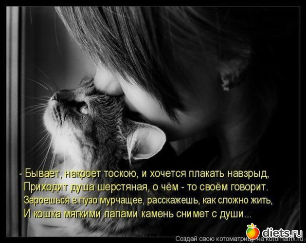 25 фото: Разное