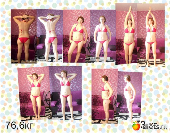 1 фото: Отчеты