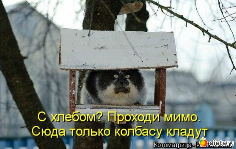 69 фото: всякая всячина...