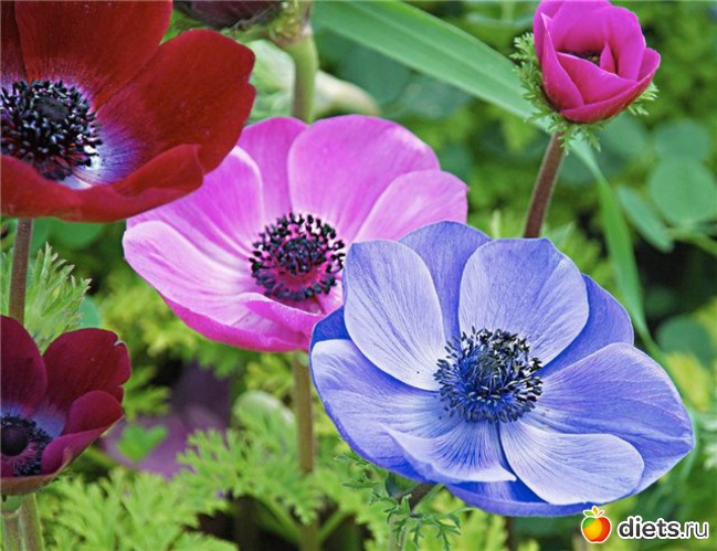 71 фото: всякая всячина...