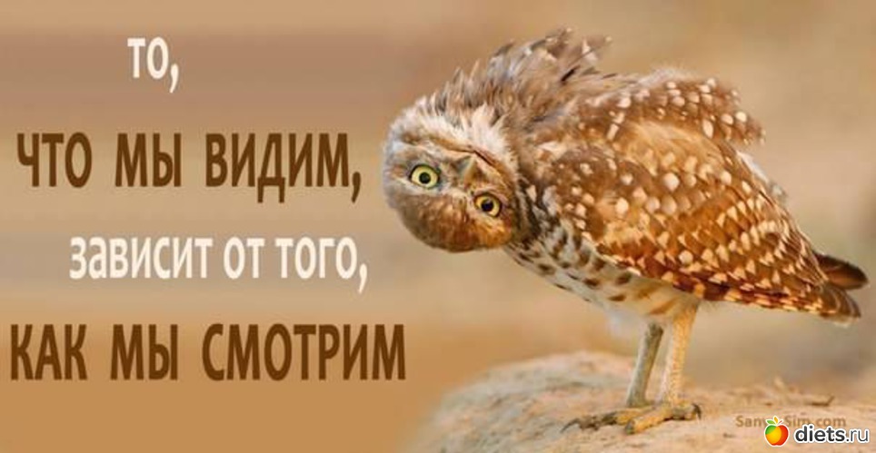 221 ����: �� ���������