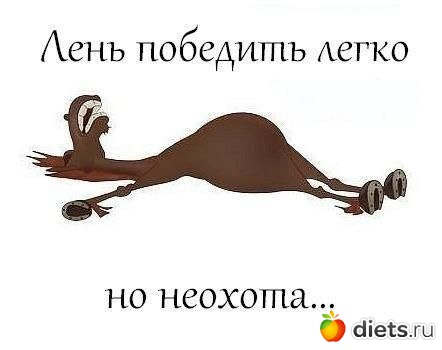 �� ���������