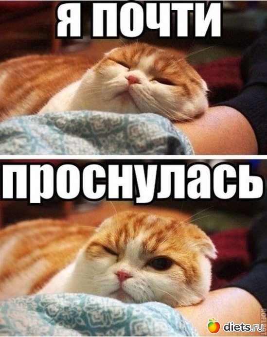 228 ����: �� ���������