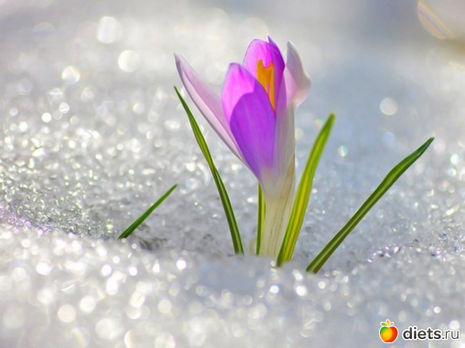 52 фото: всякая всячина...