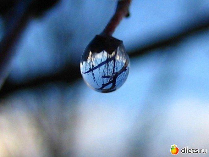 40 фото: всякая всячина...