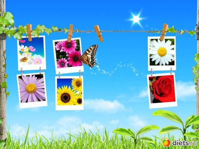 55 ����: ������ �������...