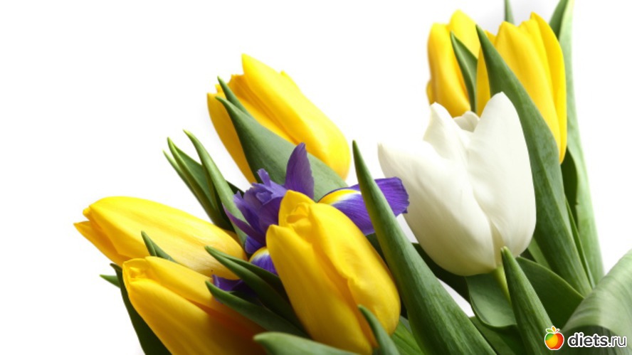 50 фото: всякая всячина...