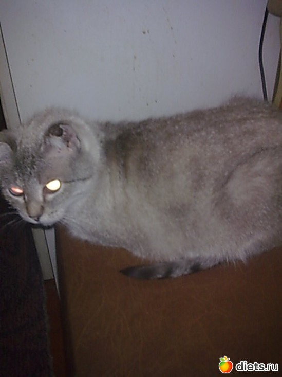 .   18       .    .   , :     .