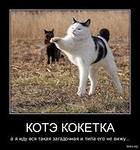 Мои любимцы!=)