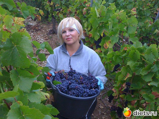 16 ����: C'est ma vie