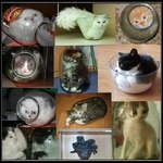 Позитивчика вам с утра ))