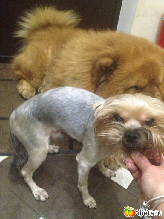 8 ����: ��� �������