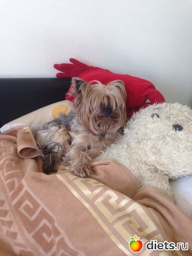 9 ����: ��� �������