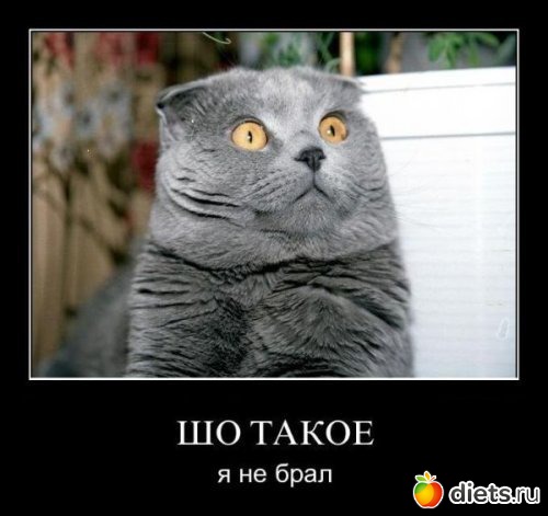 всякая всячина...