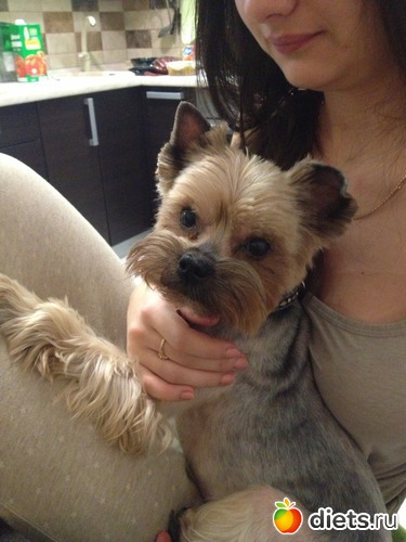 10 ����: ��� �������