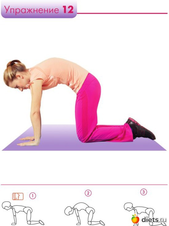 12 ����: ��������� �����������