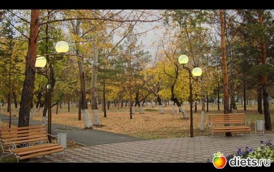 6 фото: Родной Павлодар