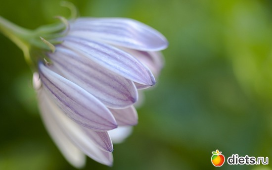 9 фото: Природа