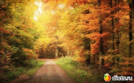 11 фото: Природа