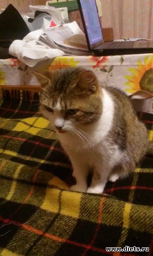 2 фото: Сашка и ремонт