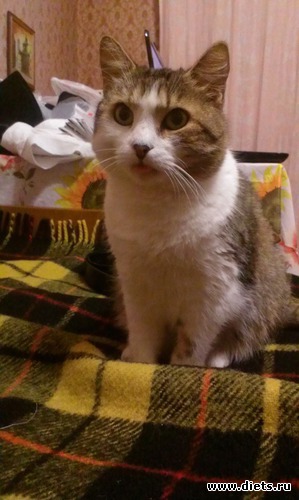 3 фото: Сашка и ремонт